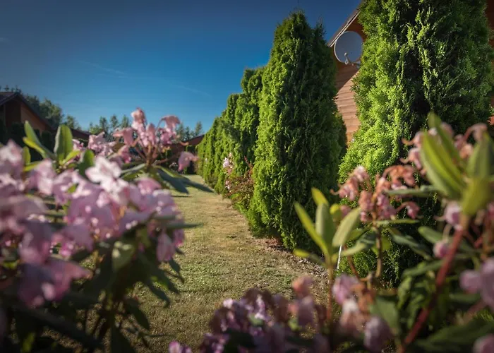 Hébergement de vacances Letniskowe Silver